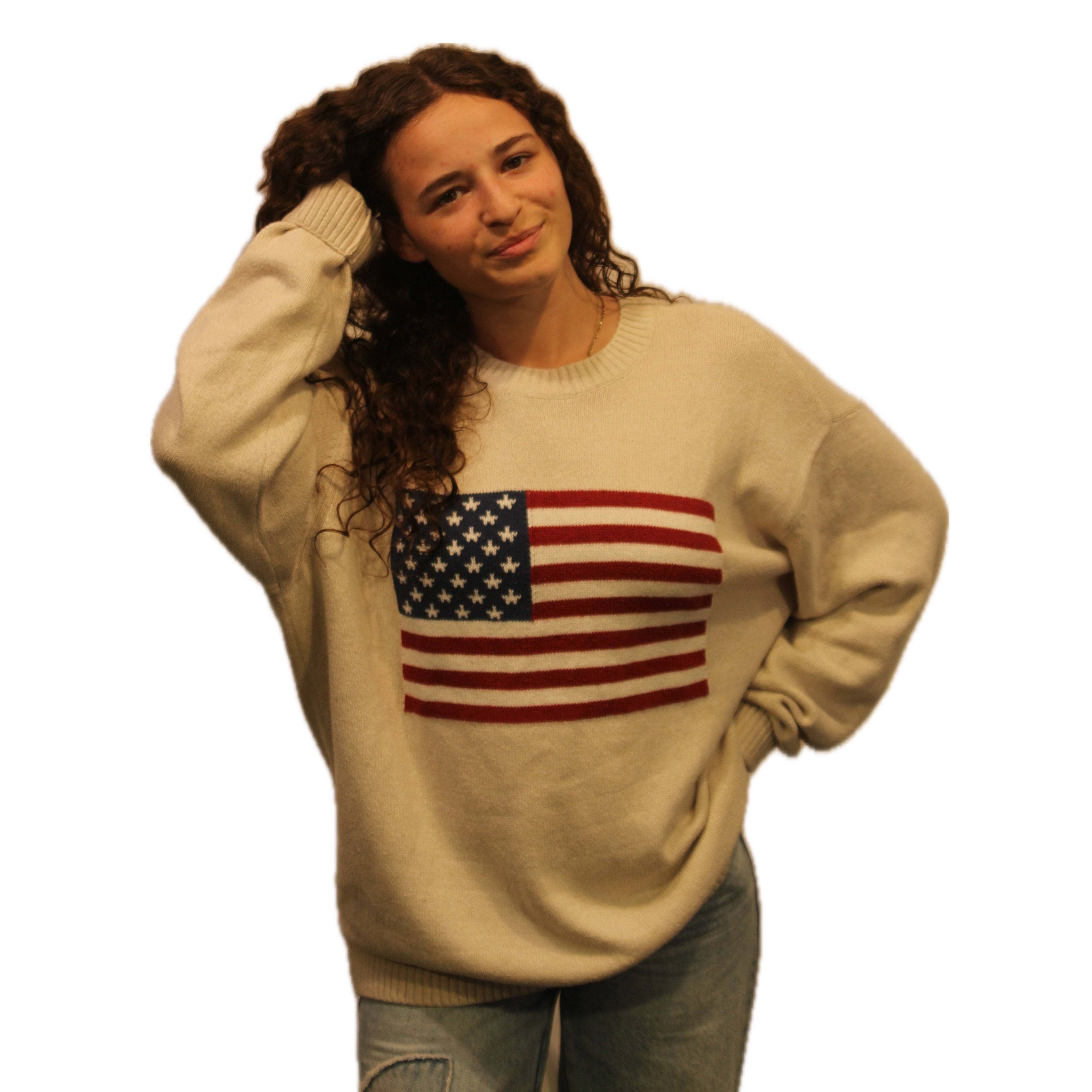 Vintage 00s American Flag Sweater