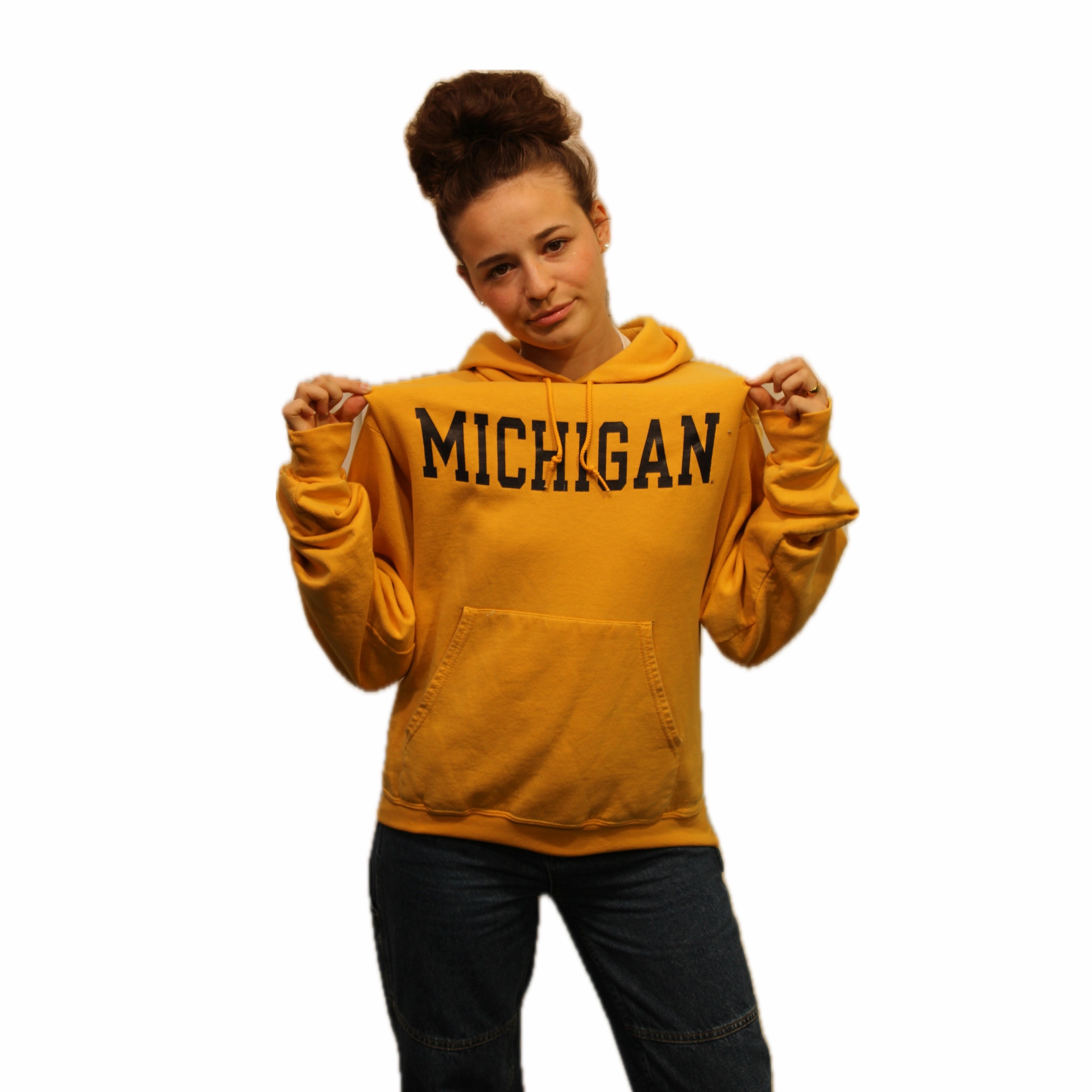 Michigan Wolverines Champion Hoodie