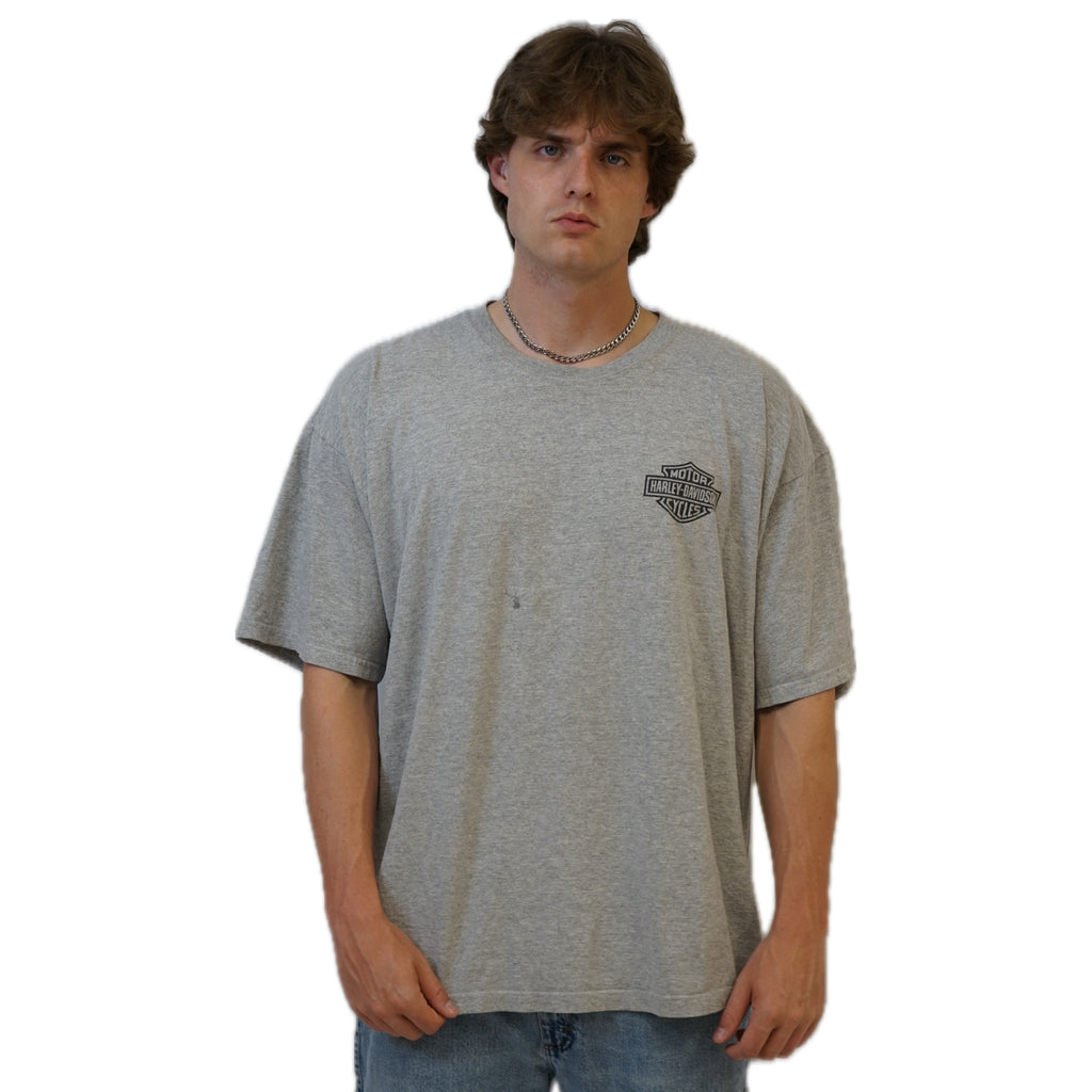 Harley Oversized Logo Tee