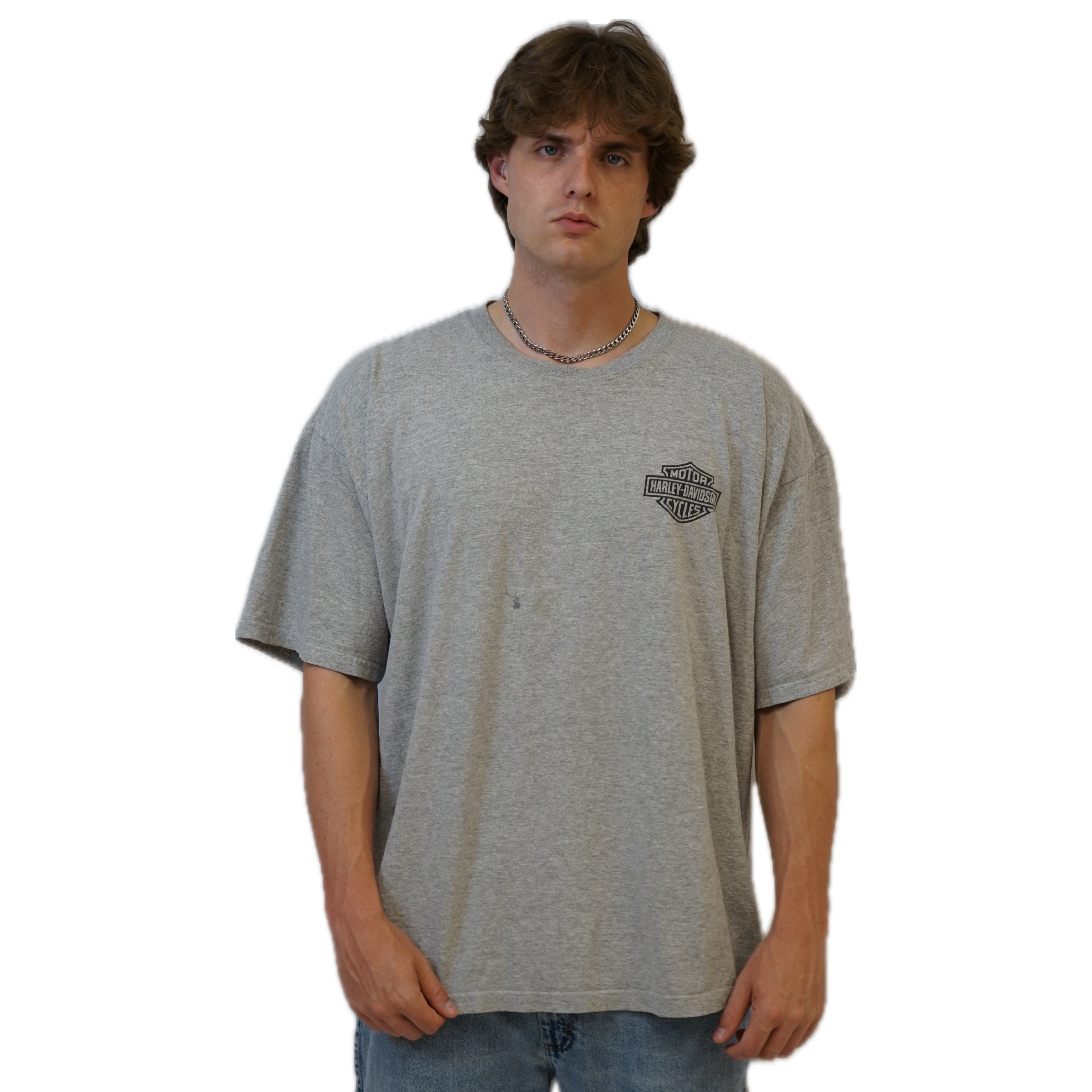 Harley Oversized Logo Tee