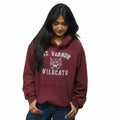 Mount Vernon Wildcats 00s Hoodie